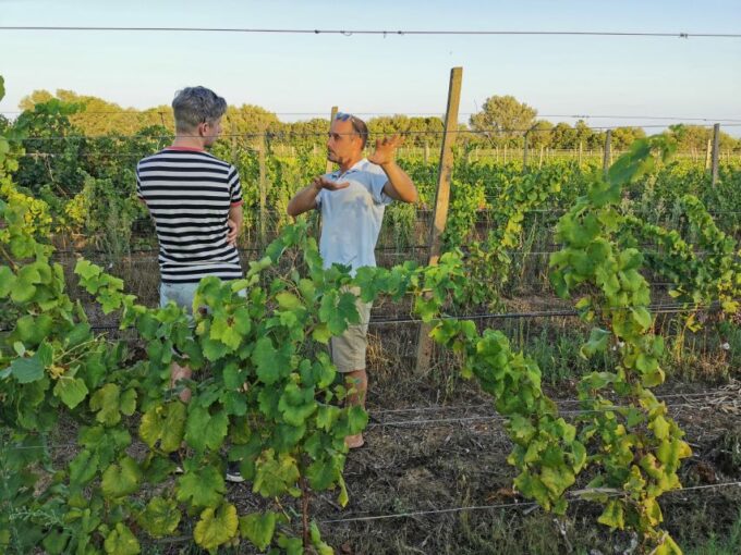 From Orosei: Archaeology, Wine Tasting & Landscapes Tour - Return and Drop-off