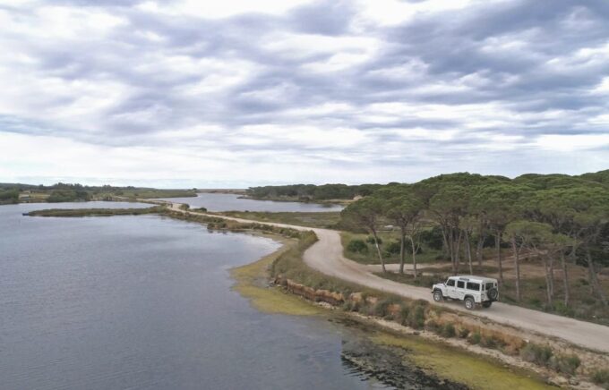 From Orosei: Archaeology, Wine Tasting & Landscapes Tour - Customer Feedback