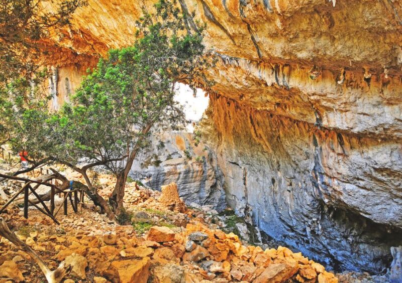 From Orosei & Dorgali: Hike to Nuragic Village of Tiscali - Inclusions