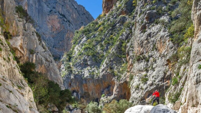 From Orosei or Dorgali: Gorropu Canyon Guided Hiking Tour - Itinerary and Experience