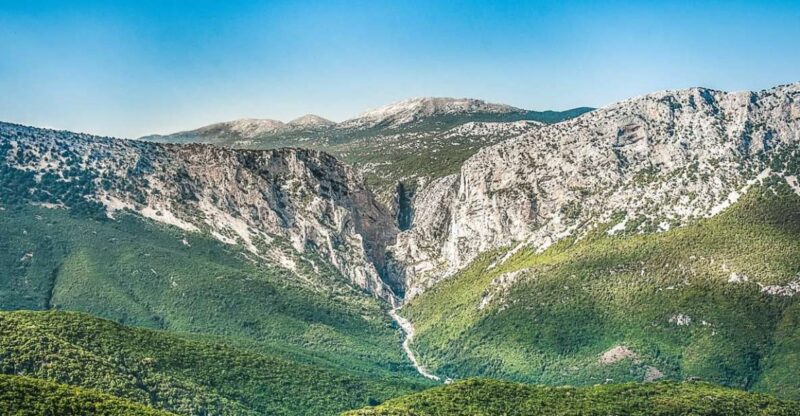From Orosei or Dorgali: Gorropu Canyon Guided Hiking Tour - Flora and Fauna