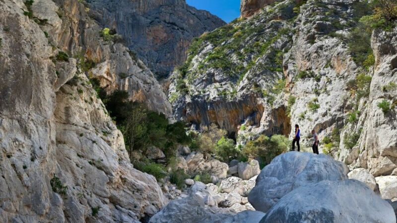 From Orosei or Dorgali: Gorropu Canyon Guided Hiking Tour - Customer Reviews