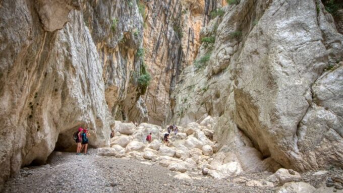 From Orosei or Dorgali: Gorropu Canyon Guided Hiking Tour - Pickup and Transportation