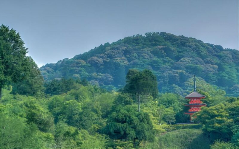 From Osaka: 10-hour Private Custom Tour to Kyoto - Key Points