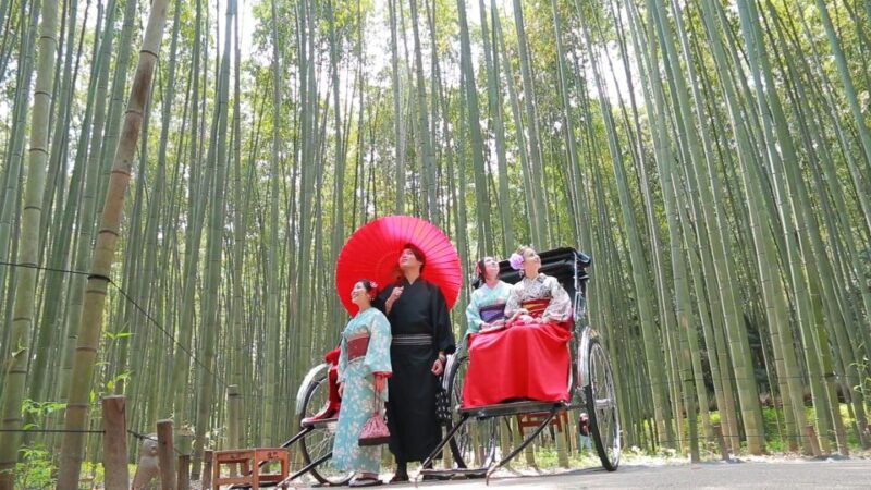 From Osaka: Guided Day Trip to Kyoto and Nara - Key Points