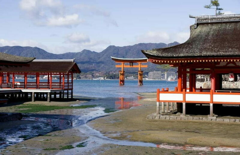 From Osaka: Hiroshima and Miyajima Day Trip by Bullet Train - Frequently Asked Questions