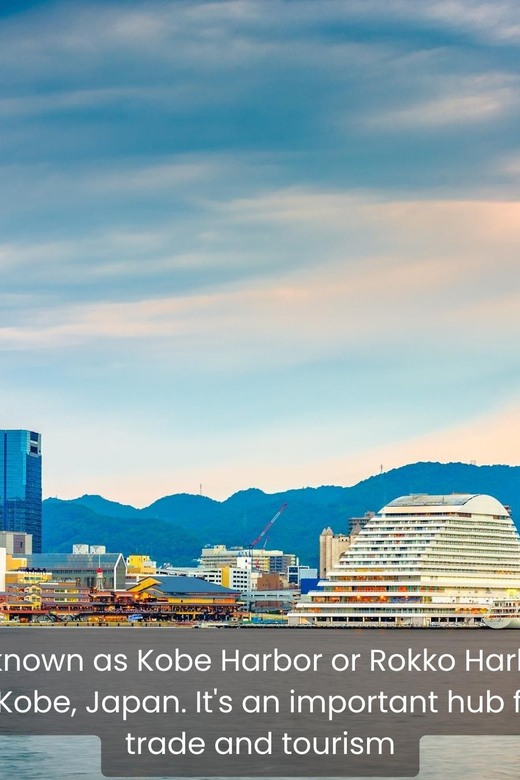 From Osaka: KOBE 1-Day TOUR With English Speaking Driver. - Key Highlights