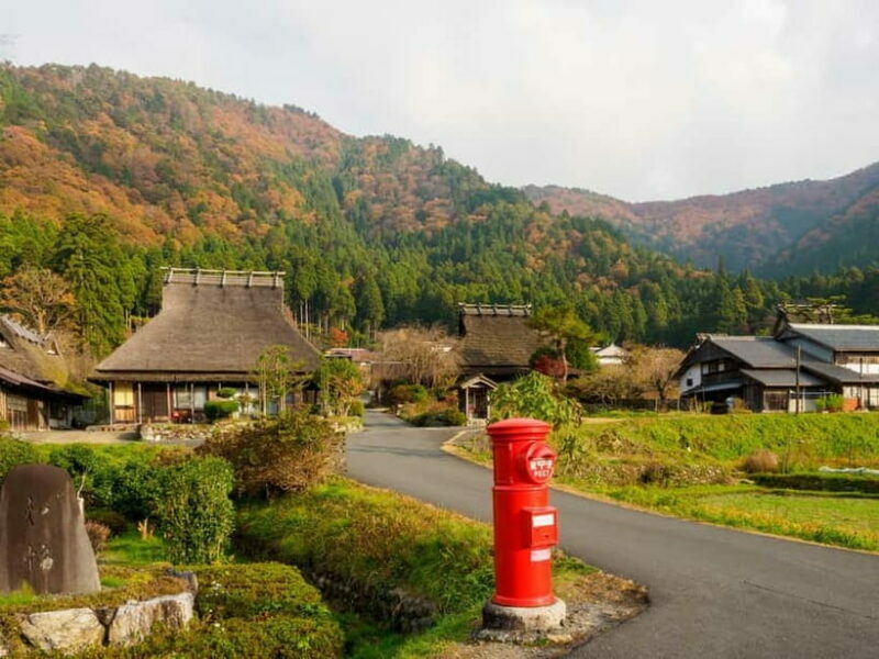From Osaka/Kyoto: Amanohashidate Day Tour with Lunch - Who Will Love This Tour?