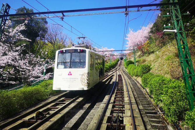 From Osaka/Kyoto: Amanohashidate & Miyama Village 1Day Bus Tour - Exploring Miyama Village: A Picturesque Rural Gem