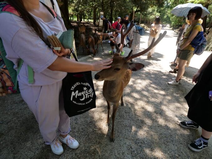 From Osaka: Kyoto and Nara 1-Day Trip - Nara Park and Deer