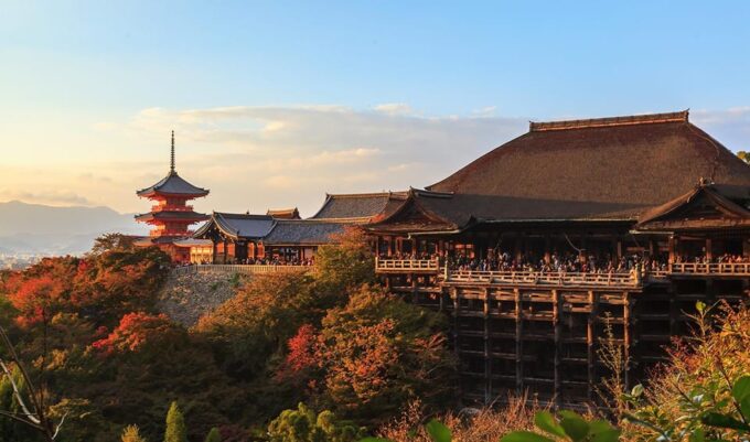 From Osaka: Kyoto and Nara Day Tour With Deer Sightings - Pricing and Cancellation