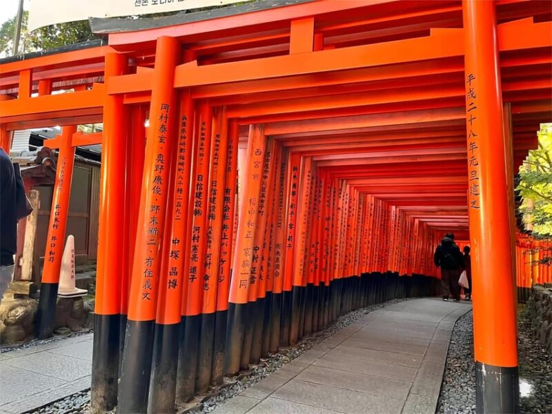 From Osaka: Kyoto and Nara Day Tour With Deer Sightings - Itinerary Highlights