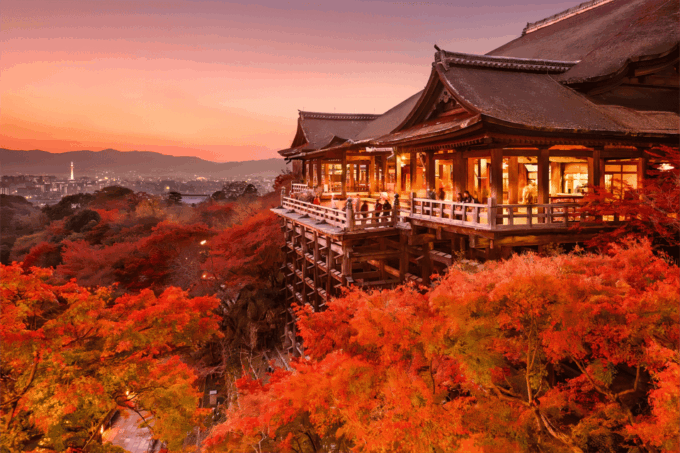 From Osaka: Kyoto and Nara Day Tour With Deer Sightings - Frequently Asked Questions