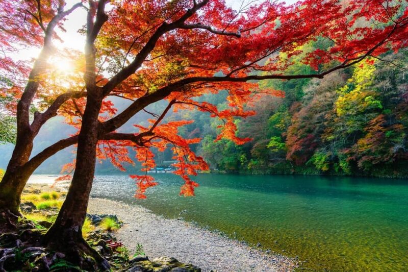 From Osaka: Kyoto and Nara Heritage and Natural Wonders Tour - Key Points