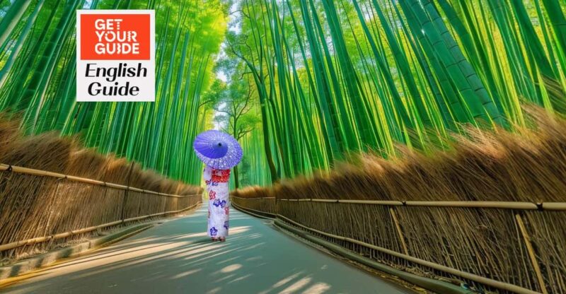 From Osaka: Kyoto and Nara Heritage and Natural Wonders Tour - Transportation and Accessibility