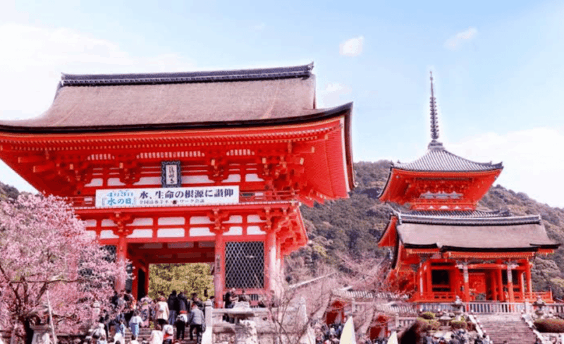 From Osaka: Kyoto Full Day Customized Private Tour - Key Points