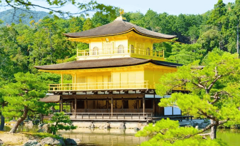 From Osaka: Kyoto Full Day Customized Private Tour - Language Support