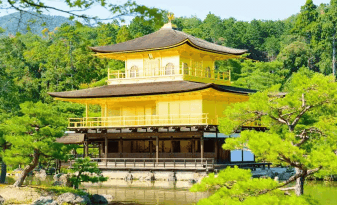 From Osaka: Kyoto Full Day Customized Private Tour - Bamboo Forest of Arashiyama