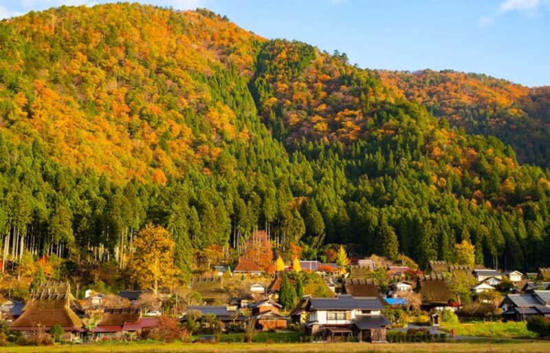 From Osaka: Kyoto Full-Day Guided Tour - Key Points