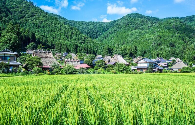 From Osaka: Kyoto Full-Day Guided Tour - Amanohashidate Cable Car