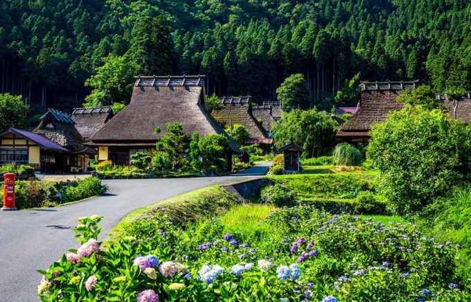 From Osaka: Kyoto Full-Day Guided Tour - Included Amenities