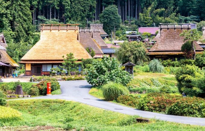 From Osaka: Kyoto Full-Day Guided Tour - Important Considerations