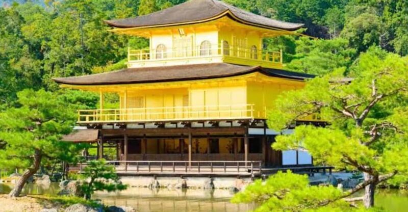 From Osaka: Kyoto Full Day Sightseeing Private Tour - Cancellation Policy and Participants