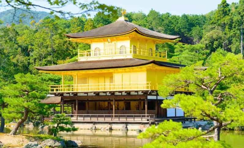 From Osaka: Kyoto Full Day Sightseeing Private Tour - Exploring Kyotos Top Sights