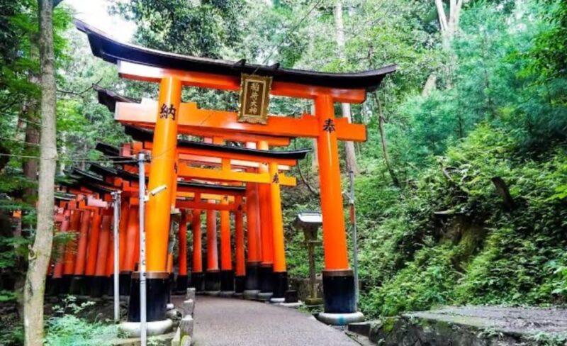 From Osaka: Kyoto Full Day Sightseeing Private Tour - Private Transportation and Guide
