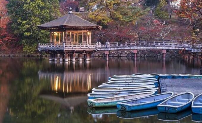 From Osaka: Kyoto Full Day Sightseeing Private Tour - Opportunities for Excellent Photos