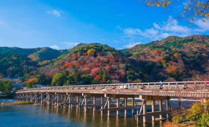 From Osaka: Kyoto Full Day Sightseeing Private Tour - Insights and Stories From Guide