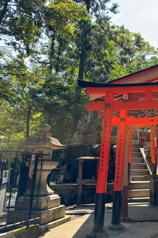 From Osaka: Kyoto Highlights One Day Private Tour - Customizable Experience