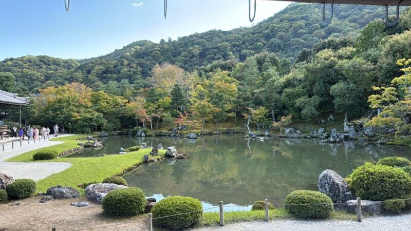 From Osaka: Kyoto Highlights One Day Private Tour - Comfortable and Efficient Travel