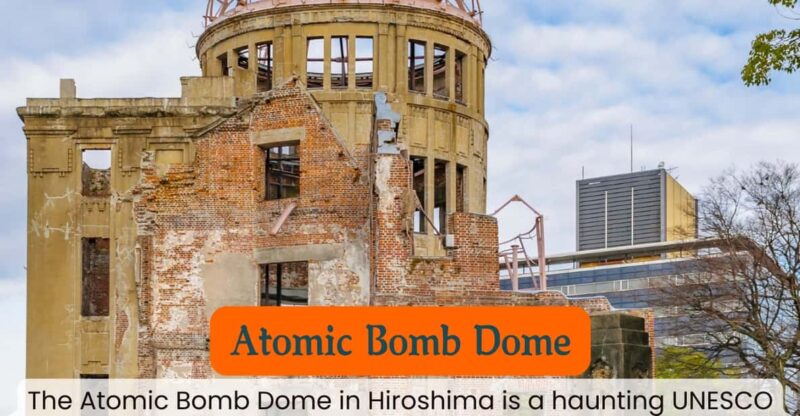 From Osaka/Kyoto: Hiroshima and Miyajima Private Tour - Optional Hiroshima Castle