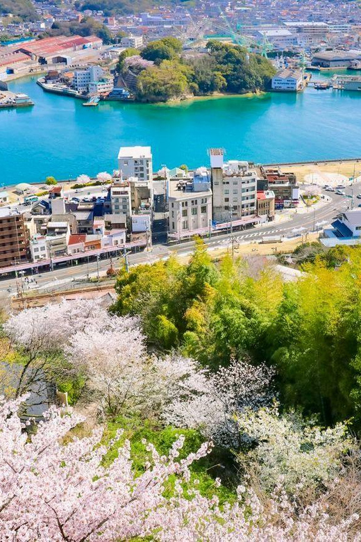 From Osaka/Kyoto: Hiroshima and Miyajima Private Tour - Frequently Asked Questions