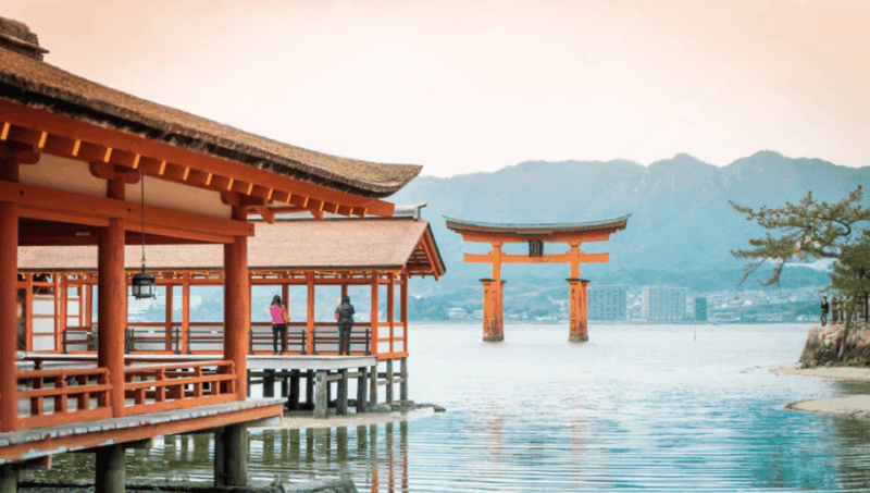 From Osaka/Kyoto: Hiroshima and Miyajima Private Tour - Customizable or Driver-Planned Itinerary
