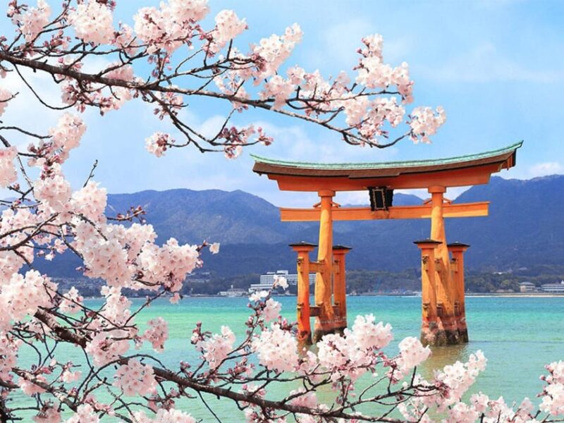 From Osaka/Kyoto: Hiroshima & Miyajima Private Guided Tour - Key Points
