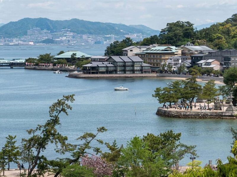 From Osaka/Kyoto: Hiroshima & Miyajima Private Guided Tour - Inclusions