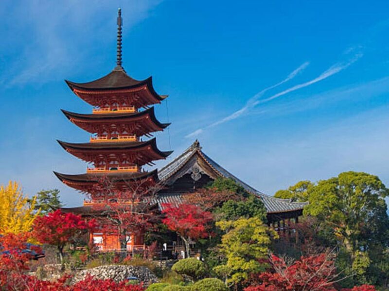 From Osaka/Kyoto: Hiroshima & Miyajima Private Guided Tour - Customer Reviews
