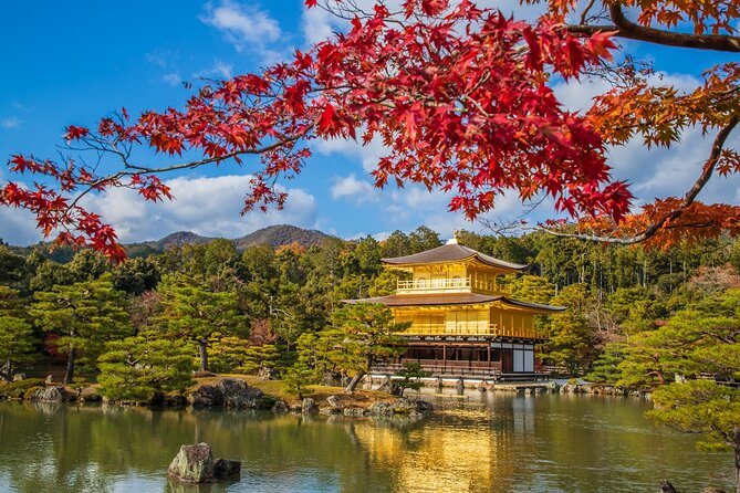 From Osaka-Kyoto: Kyoto and Nara 1Day Bus Tour - Important Considerations