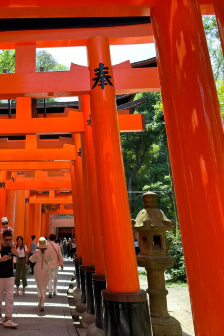 From Osaka/Kyoto: Kyoto, Nara, and Fushimi Inari Day Trip - Interacting With Deer in Nara Park