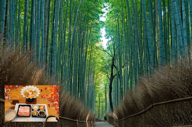 From Osaka/Kyoto: Kyoto & Nara Day Trip With Lunch - Key Points
