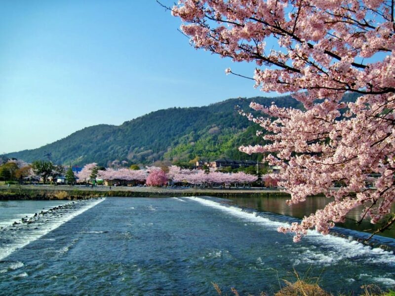 From Osaka/Kyoto: Kyoto & Nara Day Trip With Lunch - Itinerary Details