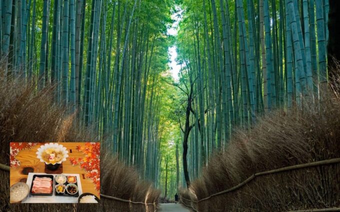 From Osaka/Kyoto: Kyoto & Nara Day Trip With Lunch - Starting Locations and Drop-off Points