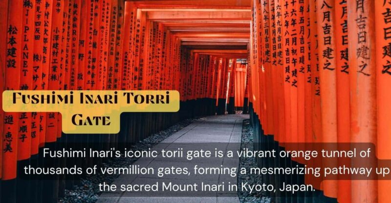 From Osaka/Kyoto: Kyoto & Nara Private Sightseeing Day Trip - Key Points