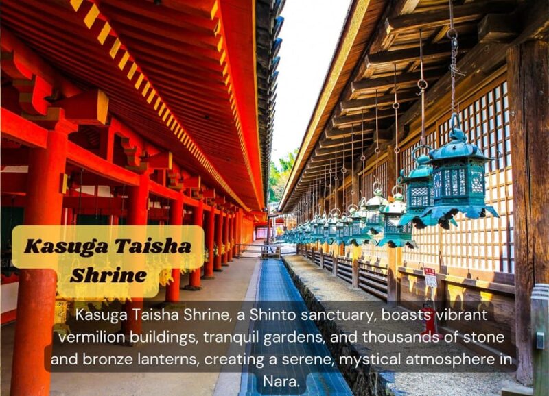 From Osaka/Kyoto: Kyoto & Nara Private Sightseeing Day Trip - Feeding Deer in Nara Park