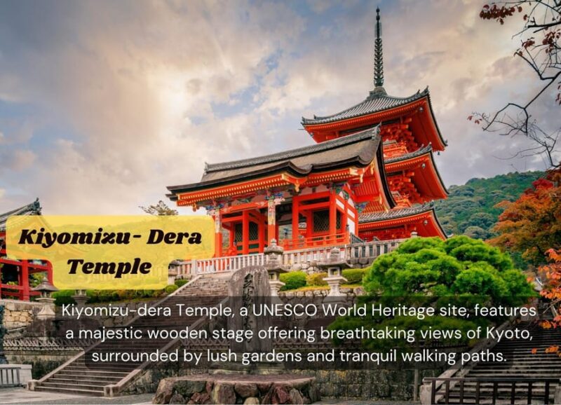 From Osaka/Kyoto: Kyoto & Nara Private Sightseeing Day Trip - Witnessing Todaiji Temples Buddha