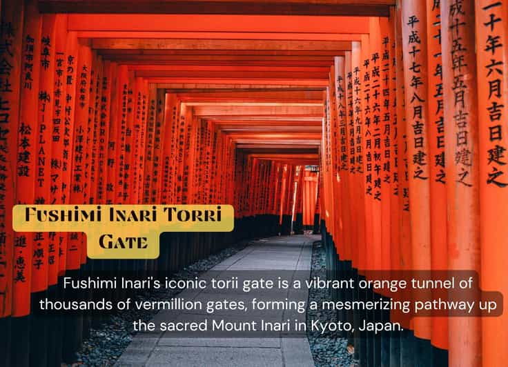 From Osaka/Kyoto: Kyoto & Nara Private Sightseeing Day Trip - Optional: Visiting Kasuga-taisha