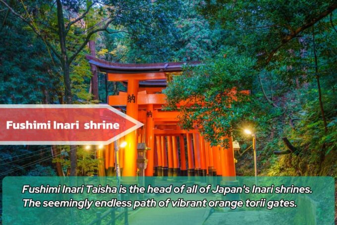 From Osaka/Kyoto: Kyoto & Nara Private Sightseeing Day Trip - Private Transportation and Inclusions