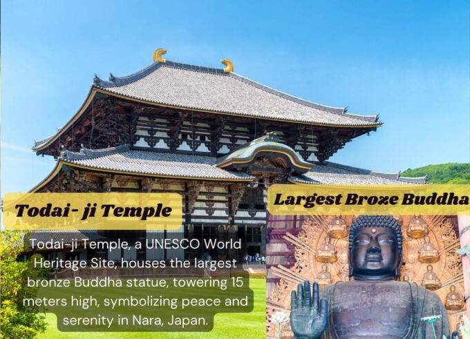 From Osaka/Kyoto: Kyoto & Nara Private Sightseeing Day Trip - Osaka/Kyoto/Tokyo Pickup and Drop-off
